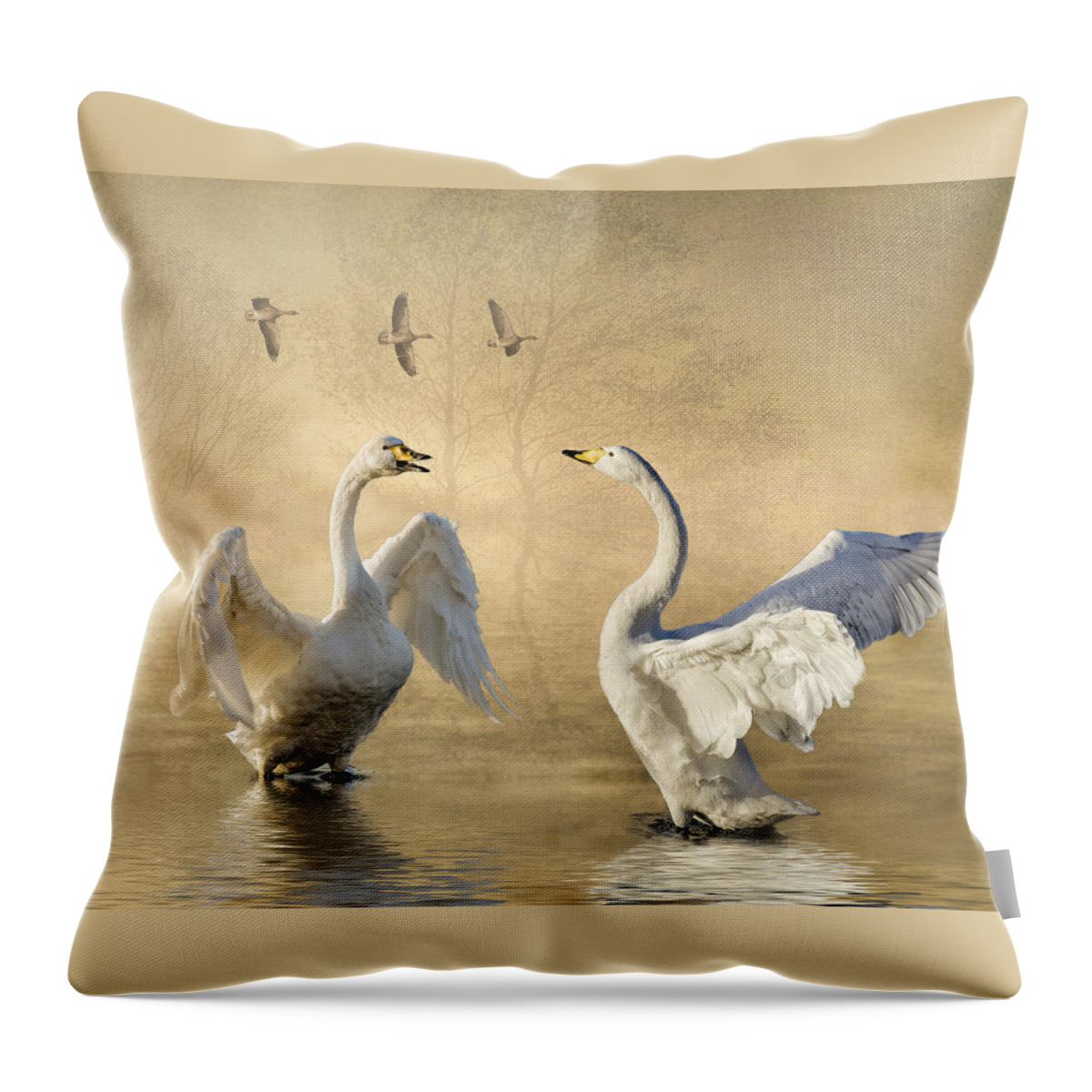 Swans Throw Pillow featuring the photograph Sunset squabble by Brian Tarr