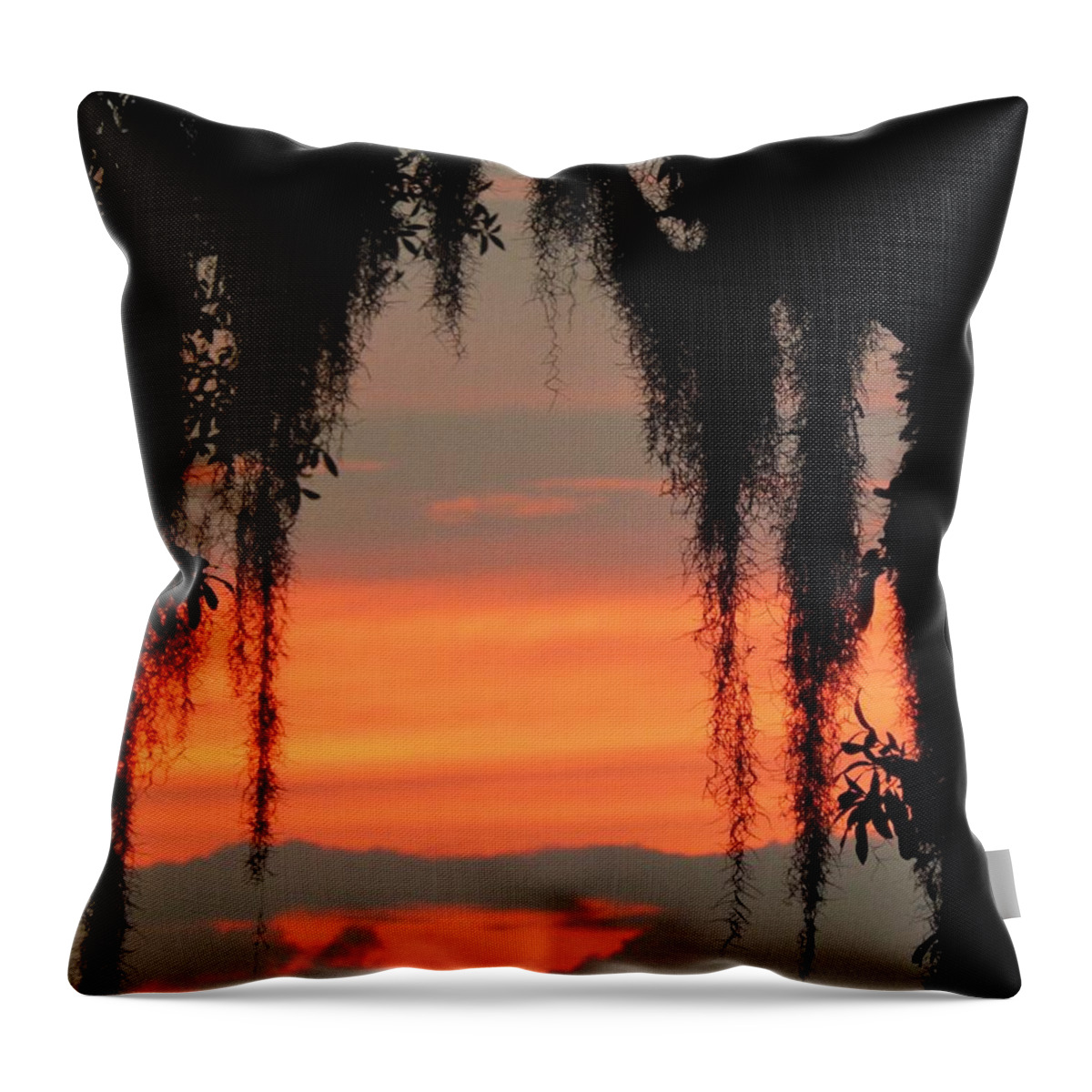 Sunset Throw Pillow featuring the photograph Sunset Through The Moss by Jan Gelders