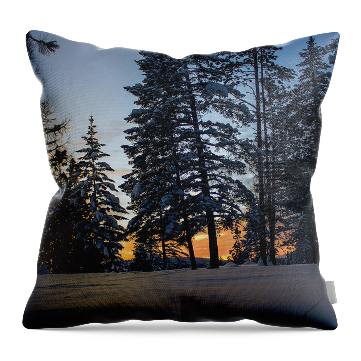Bc Throw Pillow featuring the photograph Sunset through the trees by Thomas Nay