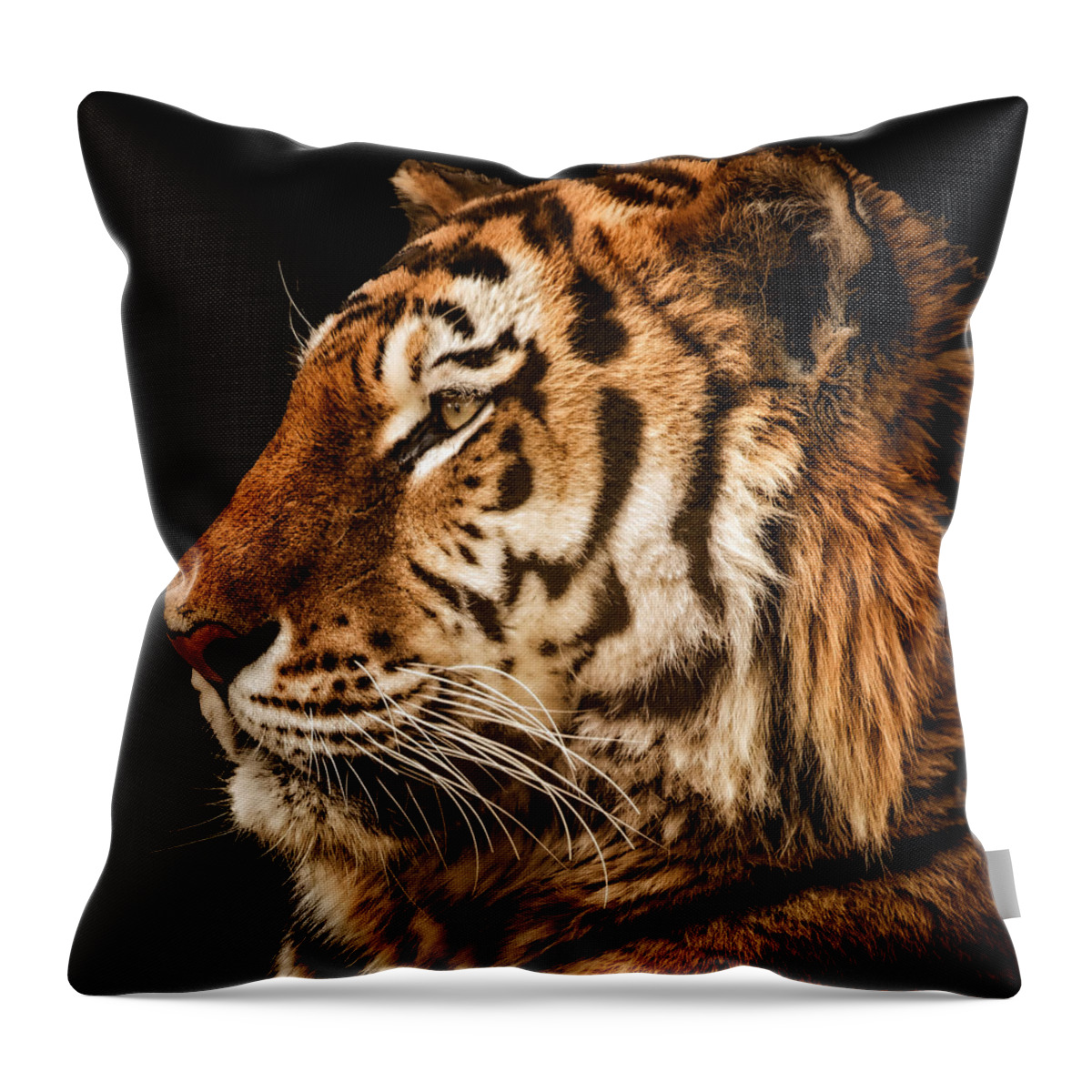 Tiger Throw Pillow featuring the photograph Sunset Tiger by Chris Boulton