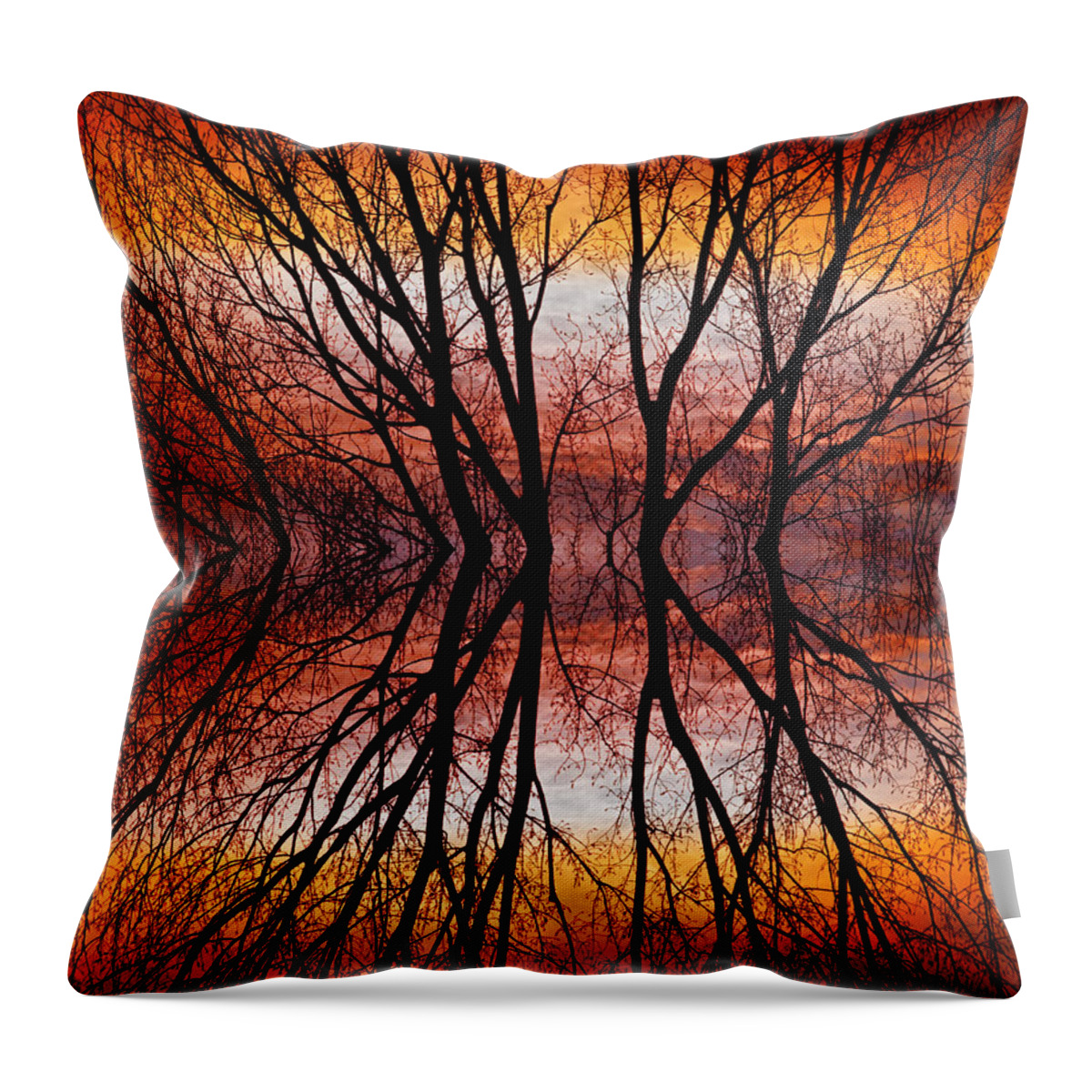 Abstracts Throw Pillow featuring the photograph Sunset Tree Silhouette Abstract 2 by James BO Insogna
