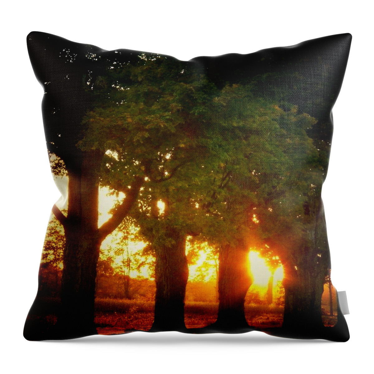 Trees Throw Pillow featuring the photograph Sunset Trees by Joyce Kimble Smith