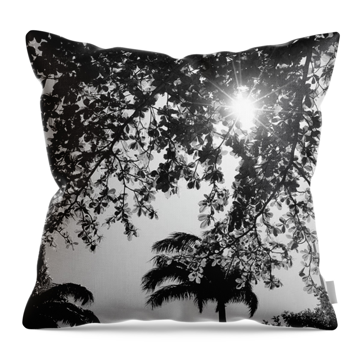 Throw Pillow featuring the photograph Sunshine In Australia by Aleck Cartwright