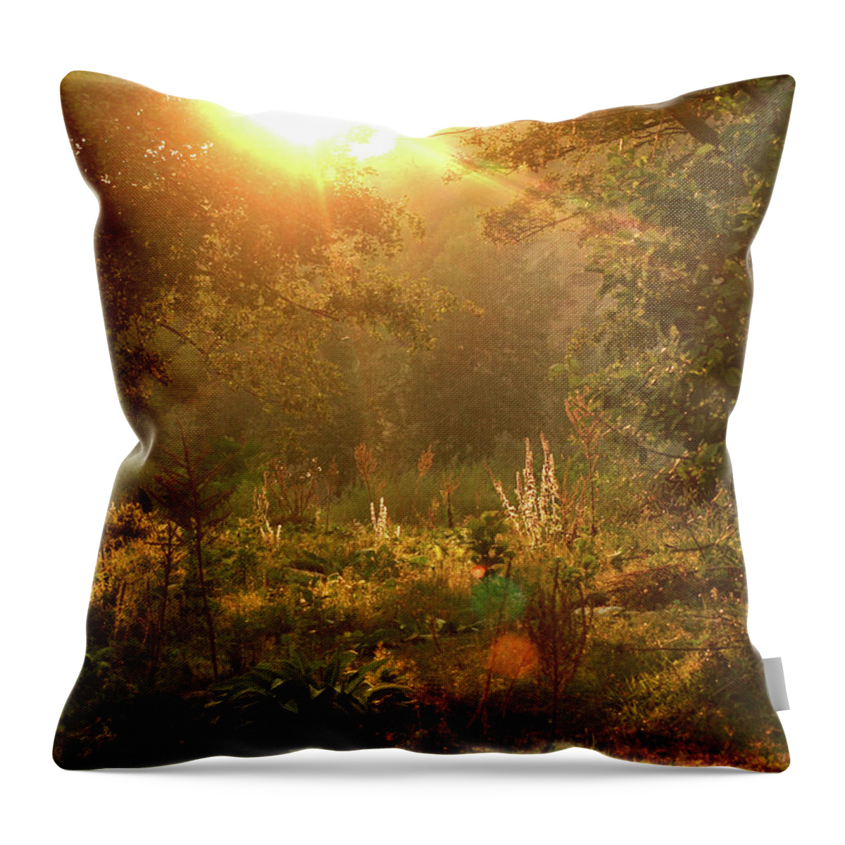 Sun Throw Pillow featuring the photograph Sunshine in the meadow by Emanuel Tanjala