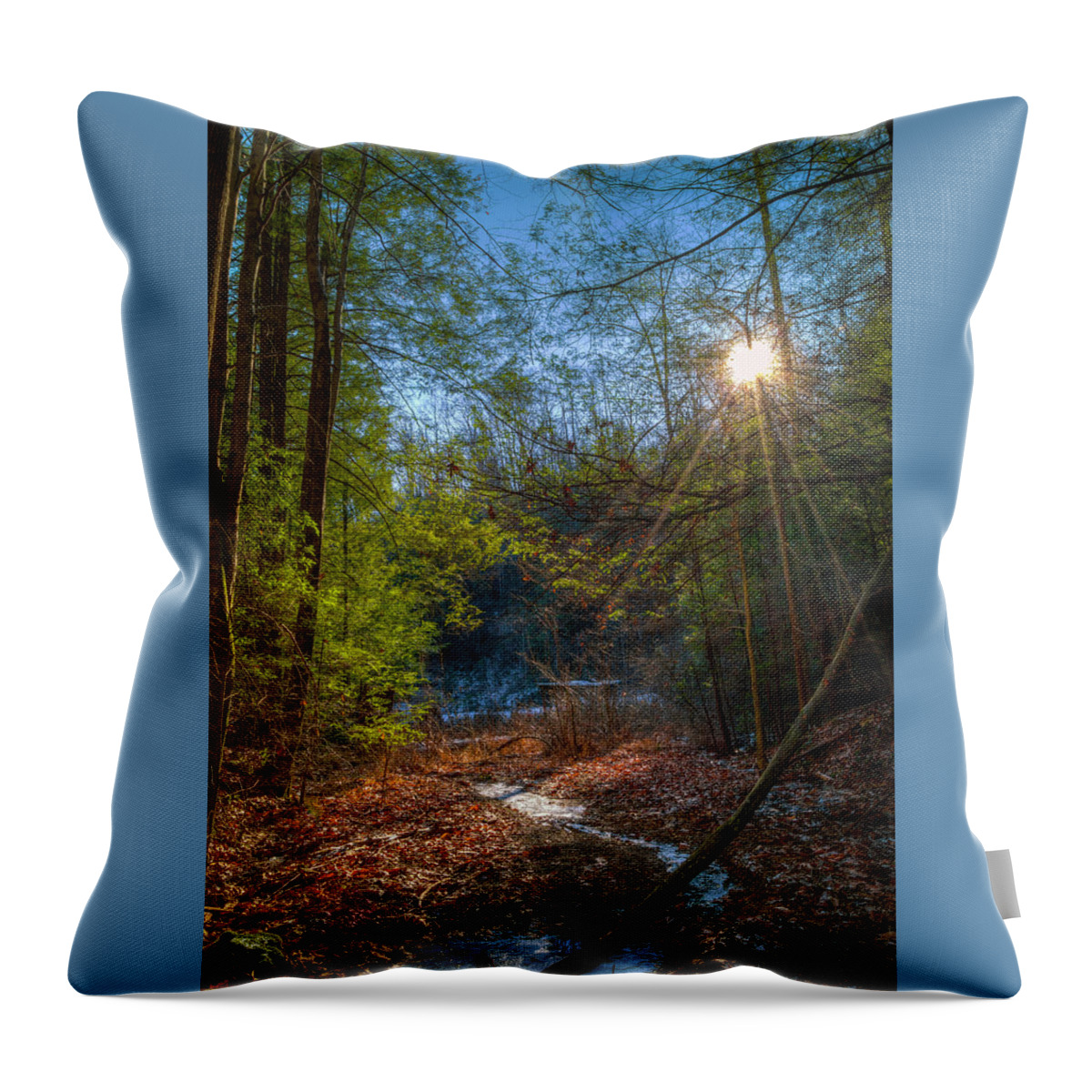 Sun Throw Pillow featuring the photograph Sunshine by Lena Auxier