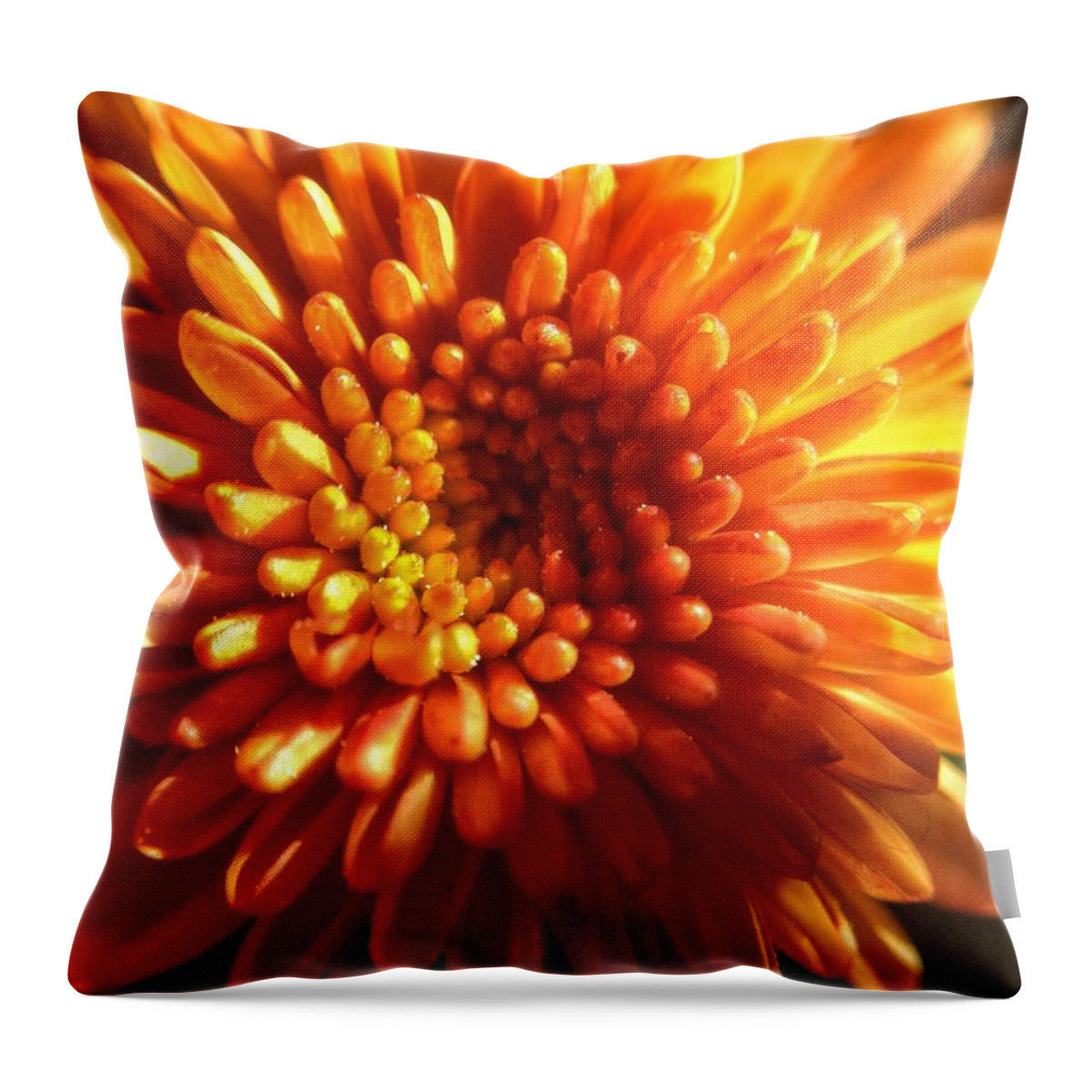 Macro Flower Bloom Flowers Blooms Andrew Rhine Scoobydrew81 Petals Marigold Nature Close-up Closeup Detail Sunny Bright Color Botanical Botanic Botanica Flora Floral Spiral Round Focus Park Spring  Throw Pillow featuring the photograph Sunshine Marigold by Andrew Rhine