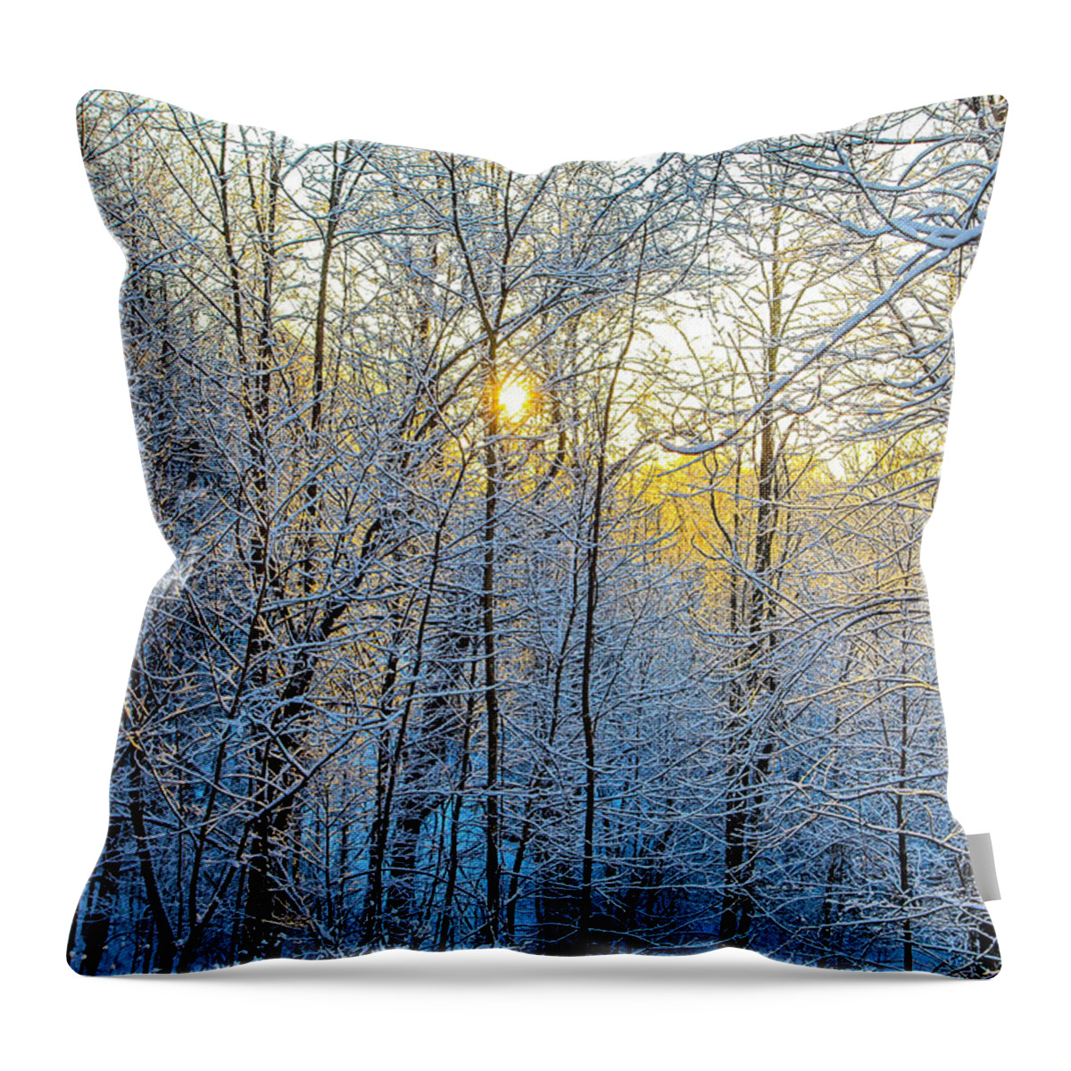 Snow Throw Pillow featuring the photograph Sunweb by Dale R Carlson