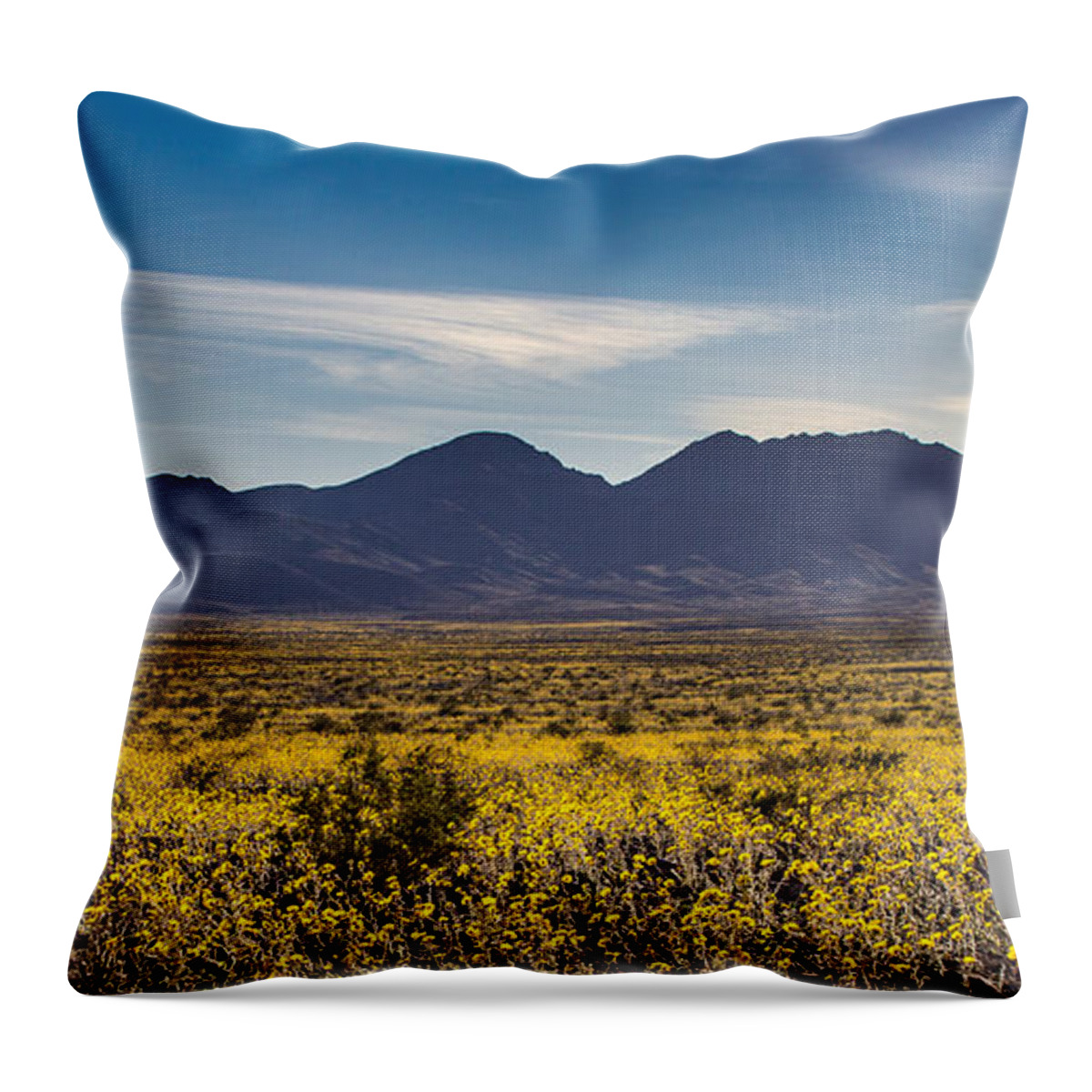 Badwater Road Throw Pillow featuring the photograph Super Bloom Death Valley by Peter Tellone