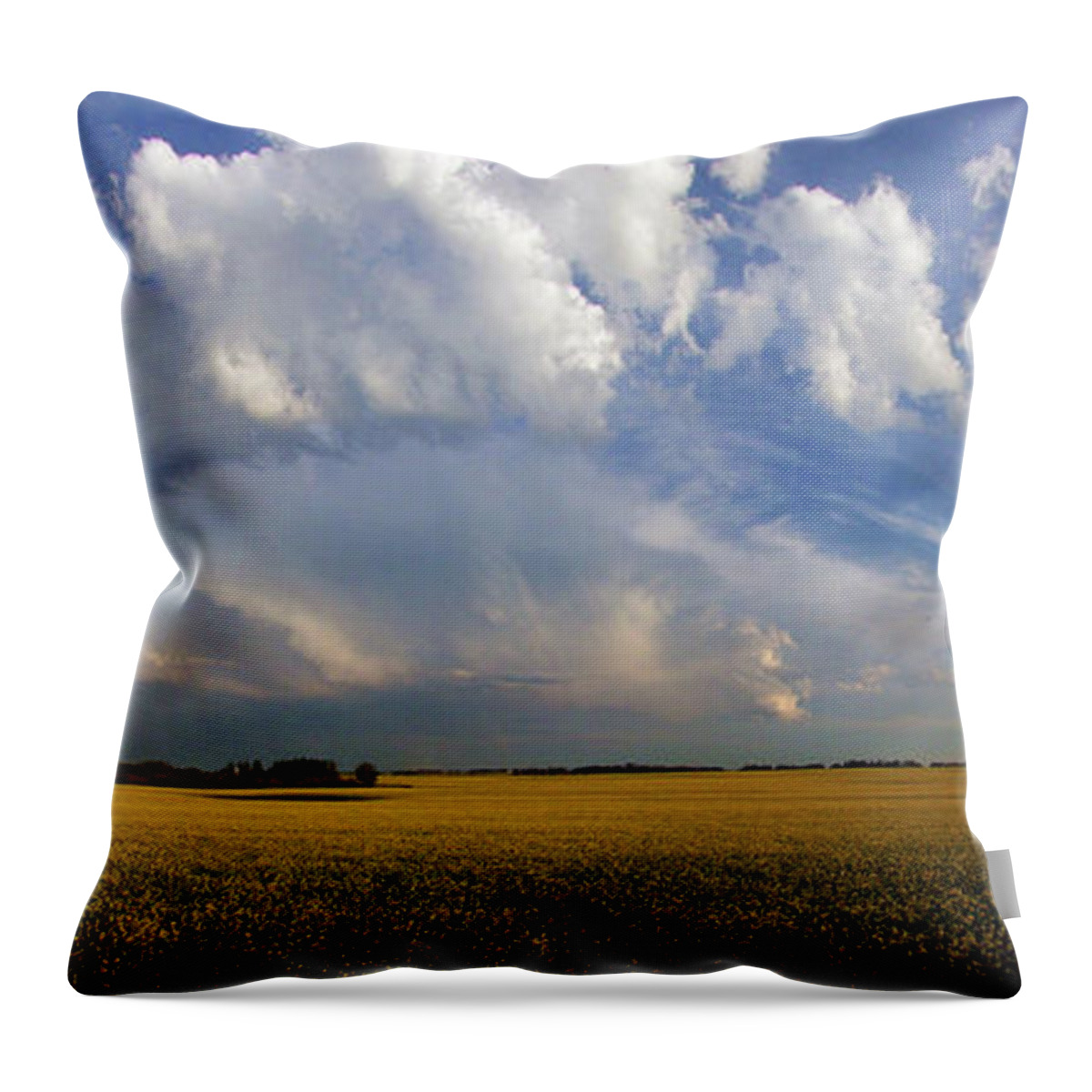 Crop Throw Pillow featuring the photograph Super Cell Over the Canola by Phil And Karen Rispin