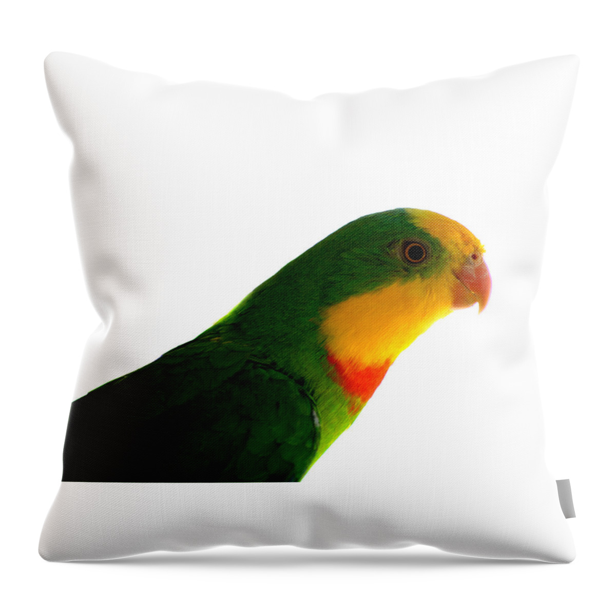  Superb Parrot Throw Pillow featuring the photograph Superb Parrot Polytelis swainsonii by Nathan Abbott