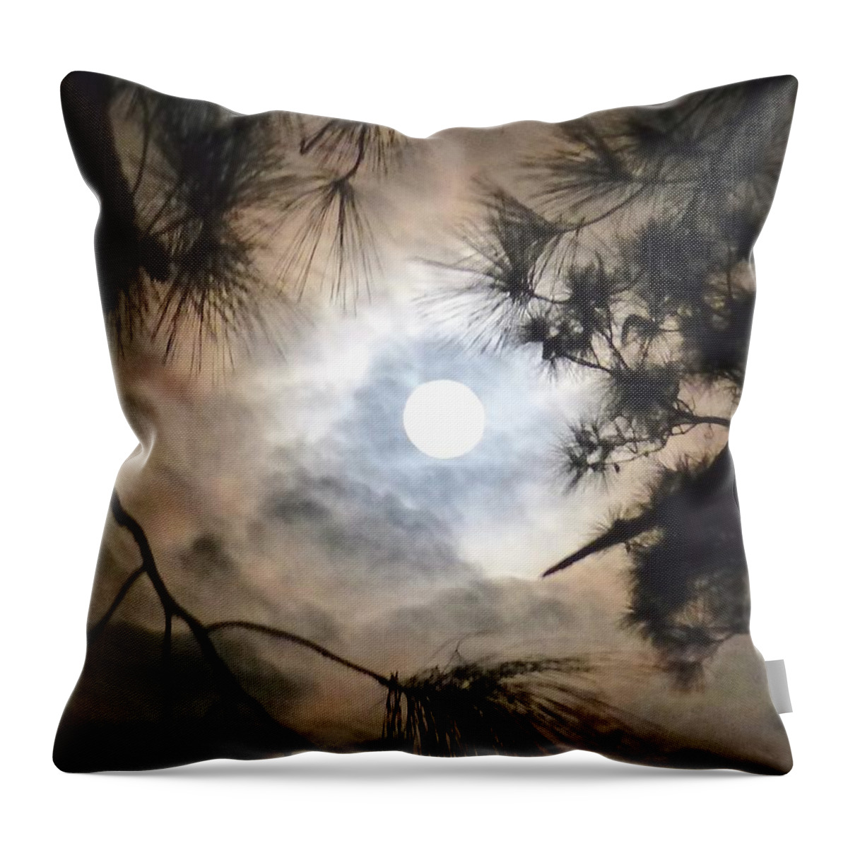 Moon Throw Pillow featuring the photograph Supermoon November 14 2016 by Jean Wright
