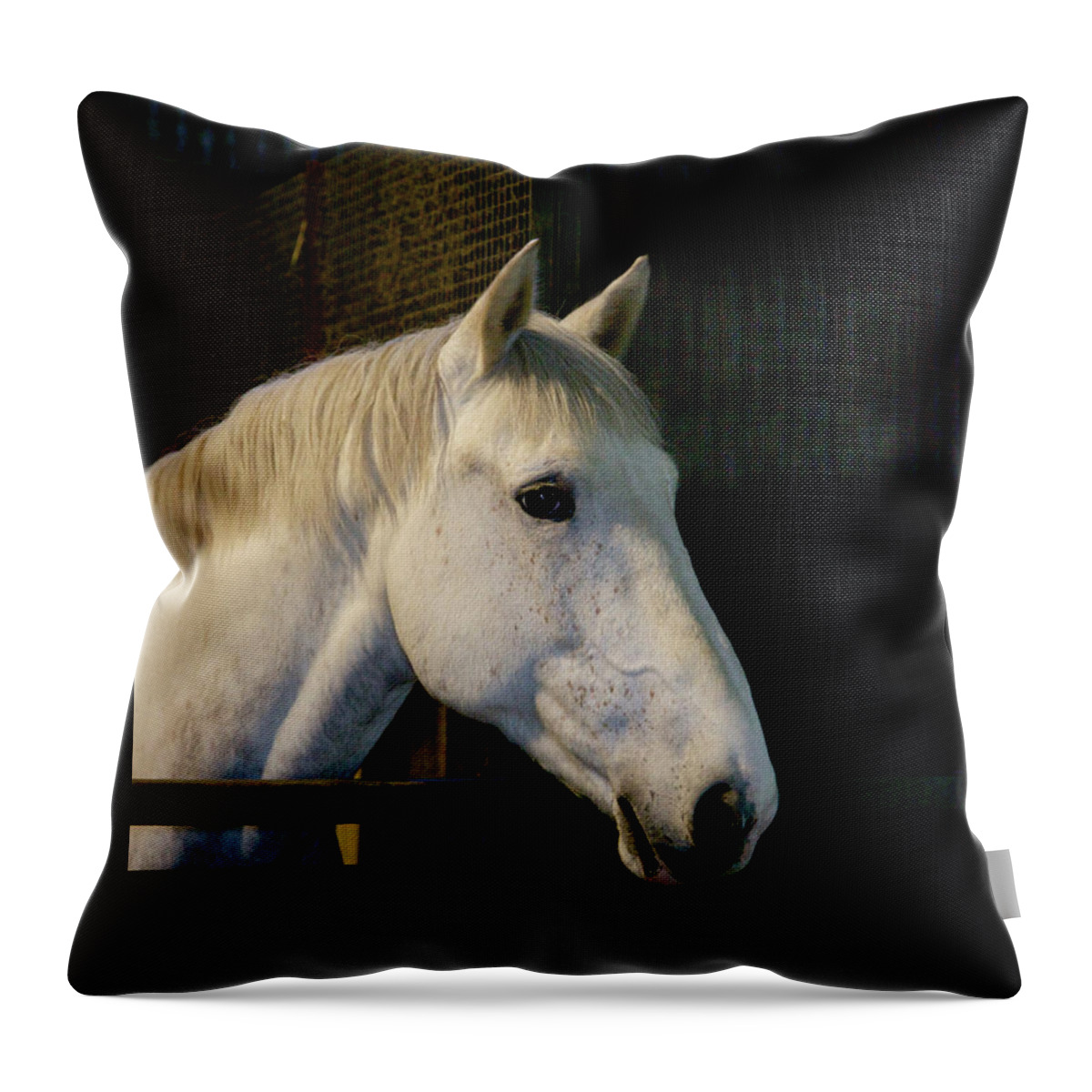 Horses Throw Pillow featuring the photograph Supper? by Mark Egerton