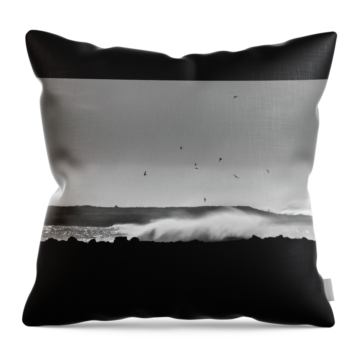 B & W Throw Pillow featuring the photograph Surf Birds by Geoff Smith