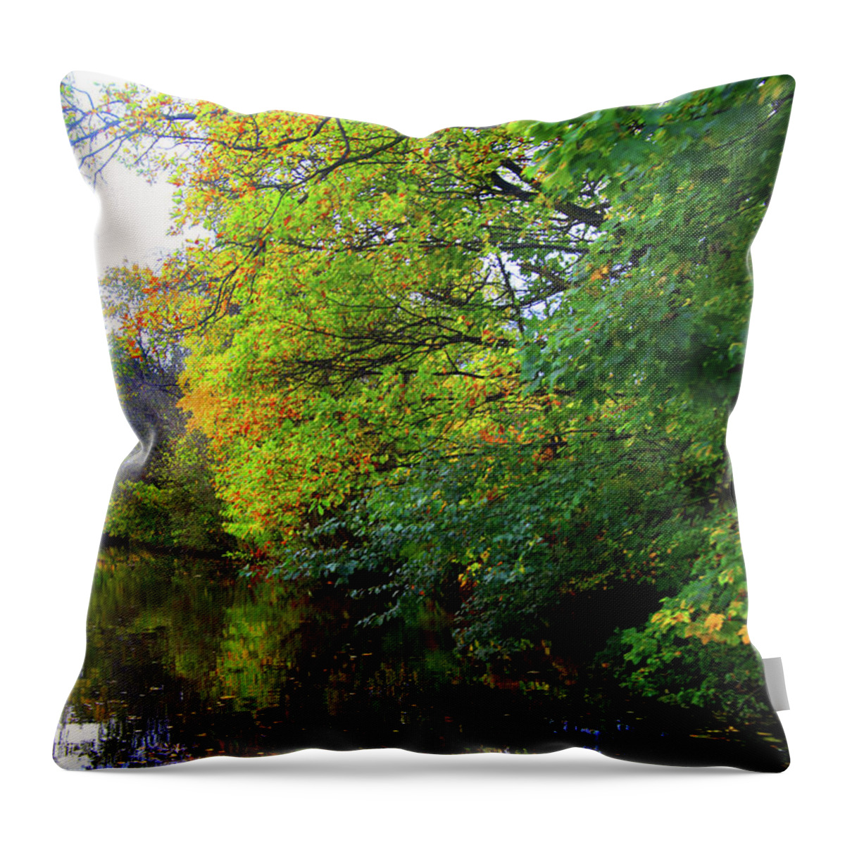Canal Throw Pillow featuring the photograph Surprise Trip by Jez C Self