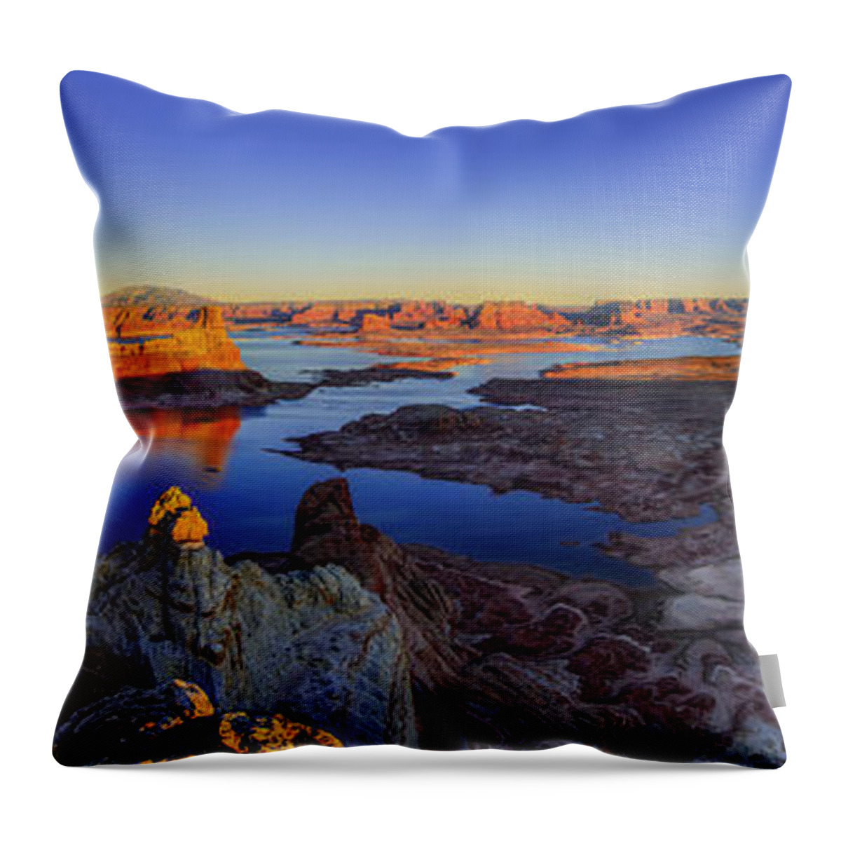 Nature Throw Pillow featuring the photograph Surreal Alstrom by Chad Dutson