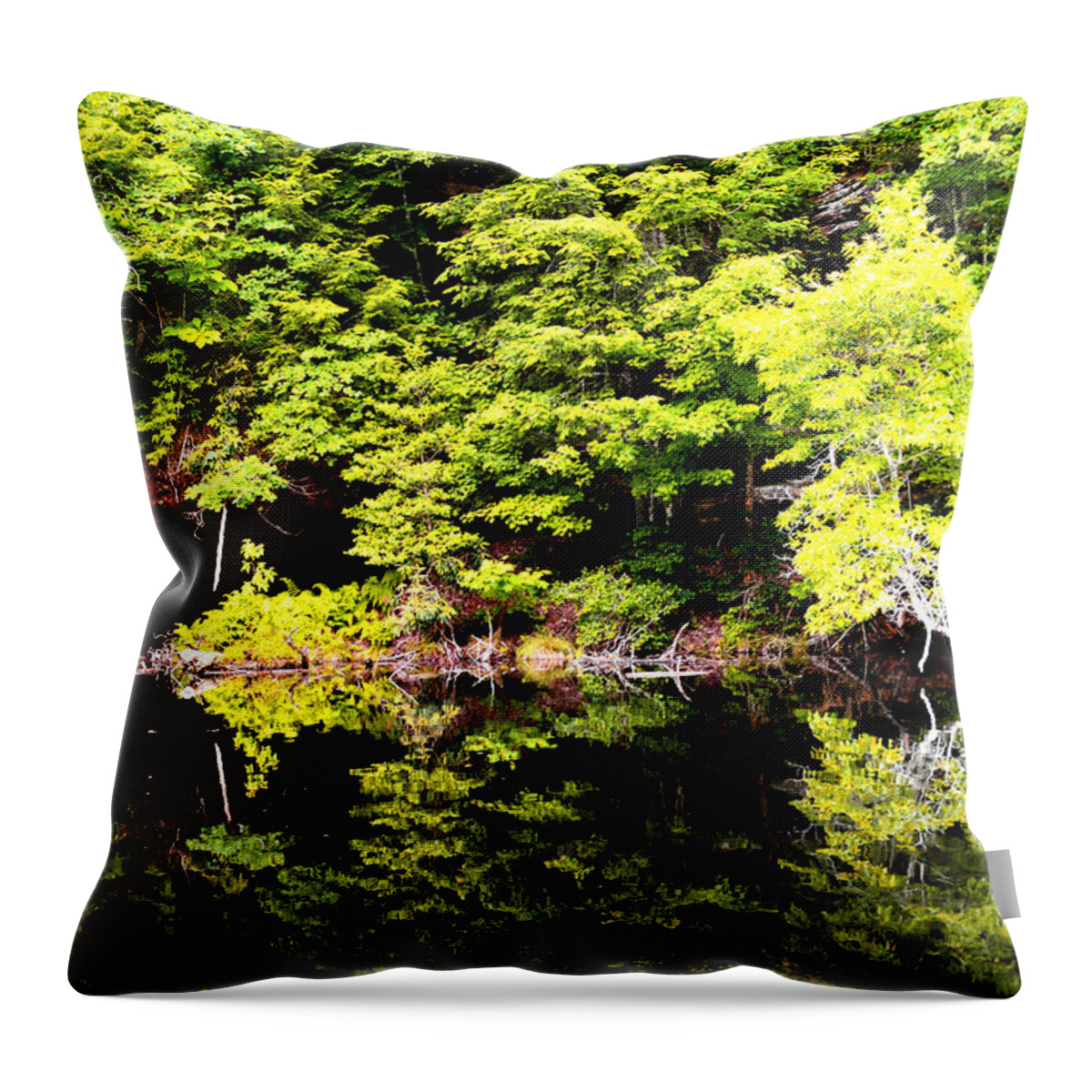  Water Reflection Throw Pillow featuring the photograph Surreal Springs Reflection by Stacie Siemsen