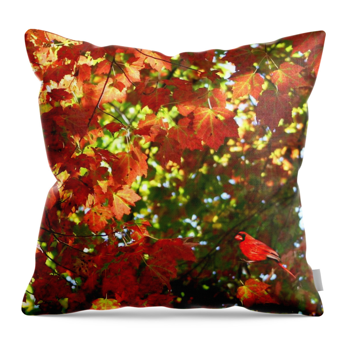 Autumn Throw Pillow featuring the photograph Surrounded By Fall In NE by Barbara S Nickerson