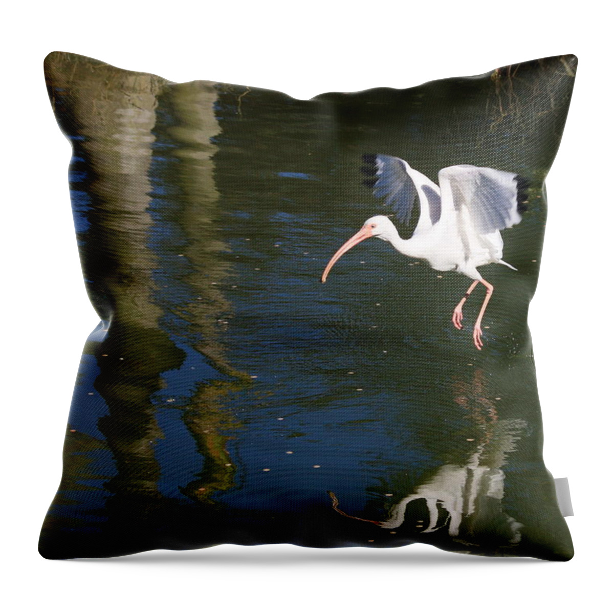 Flight Throw Pillow featuring the photograph Suspended in Flight by Carol Groenen