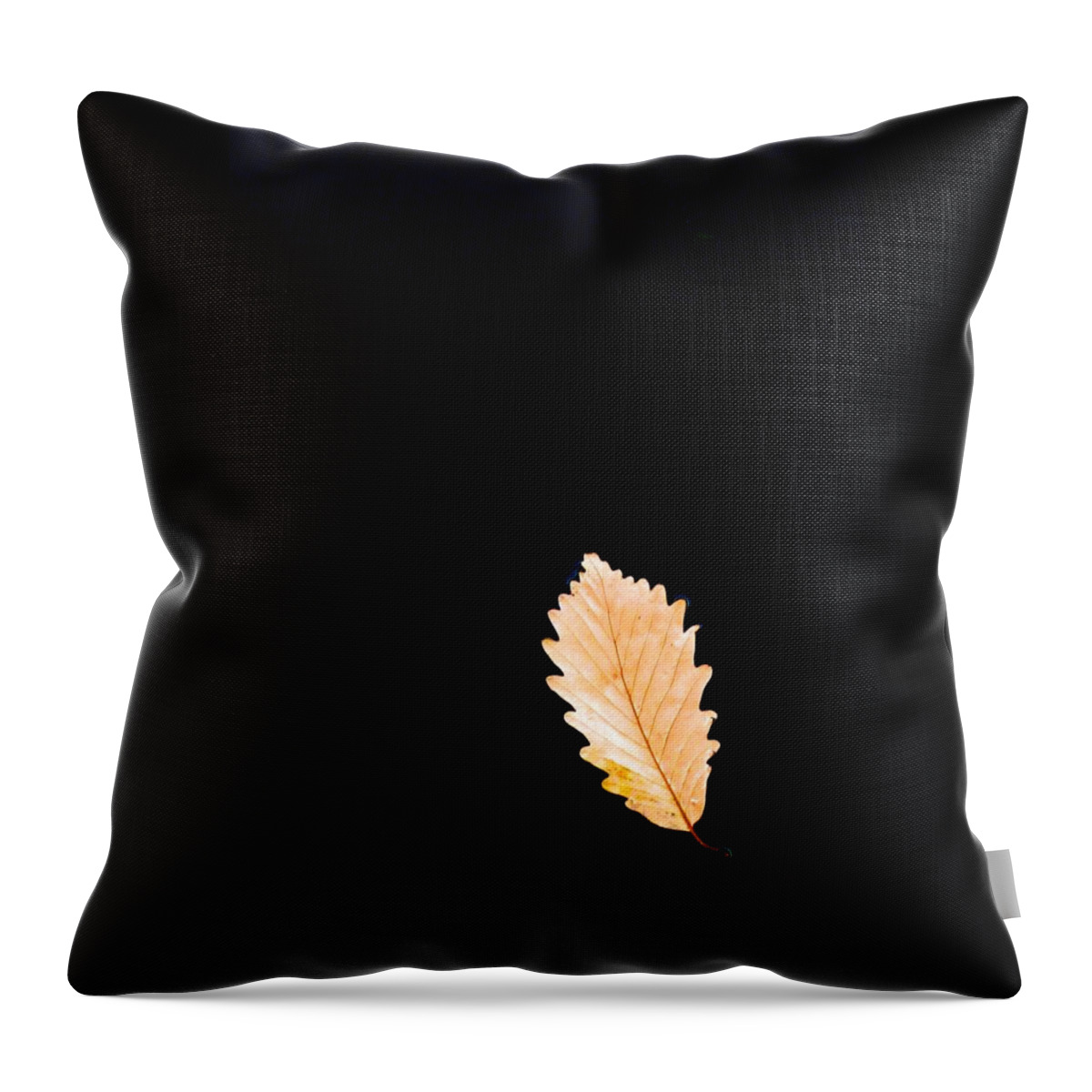  Throw Pillow featuring the photograph Suspended by Polly Castor