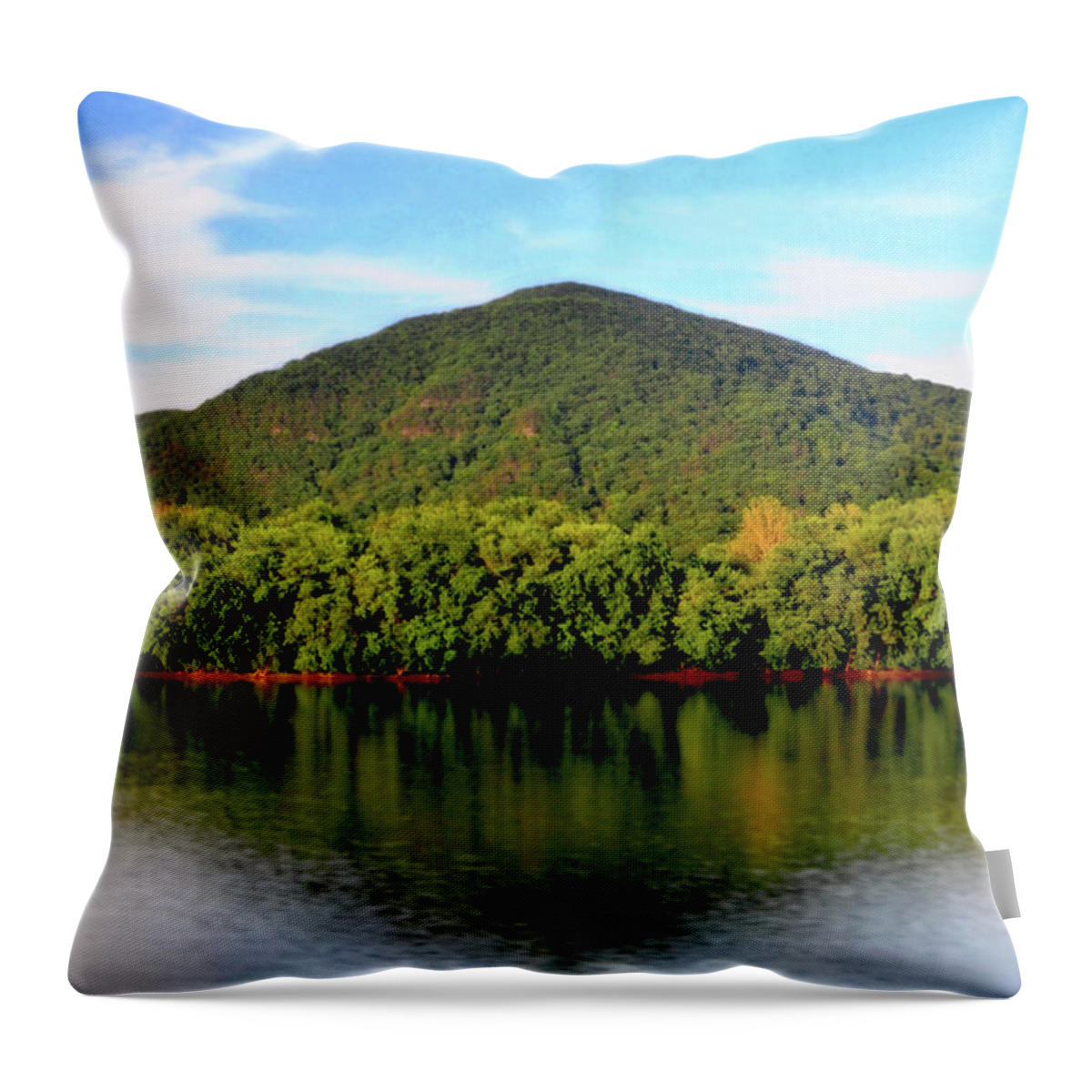 Mountain Throw Pillow featuring the photograph Susquehanna River Reflections 001 by George Bostian