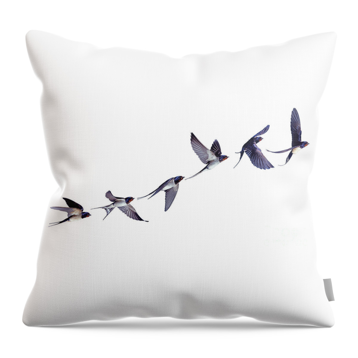 Barn Swallow Throw Pillow featuring the photograph Swallow flight series by Warren Photographic