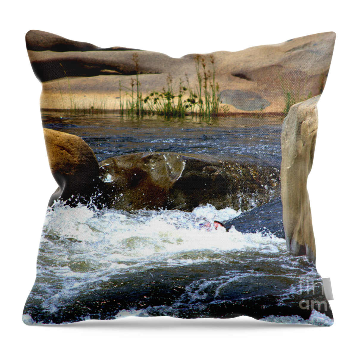 River Throw Pillow featuring the photograph Swallowed Alive by Leah McPhail