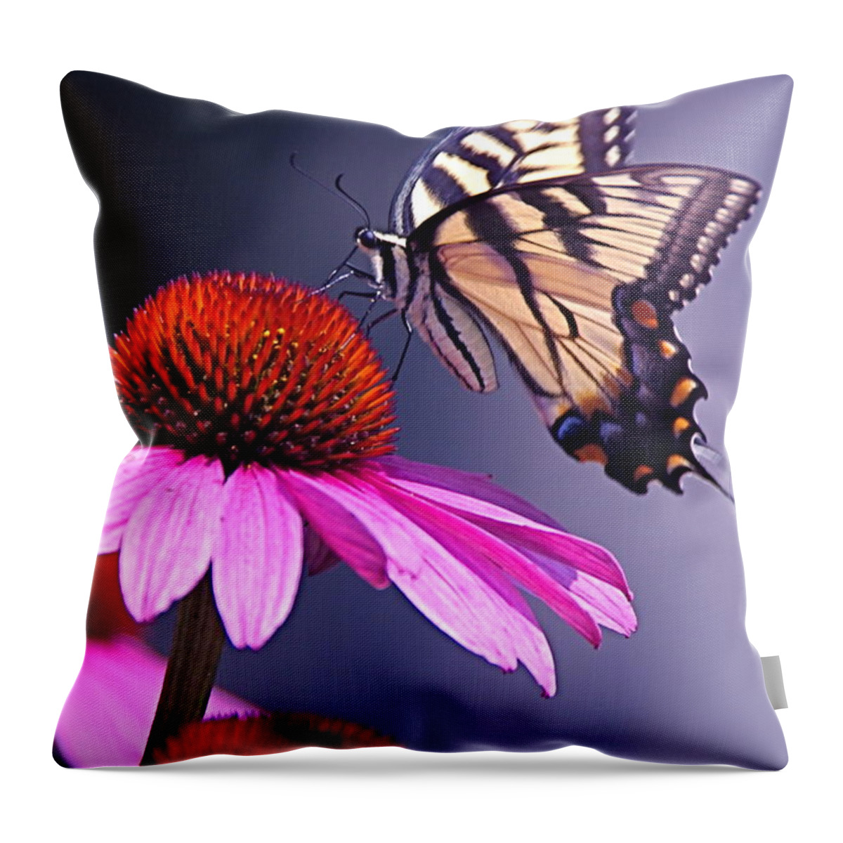 Eastern Throw Pillow featuring the photograph Swallowtail and Coneflower by Byron Varvarigos