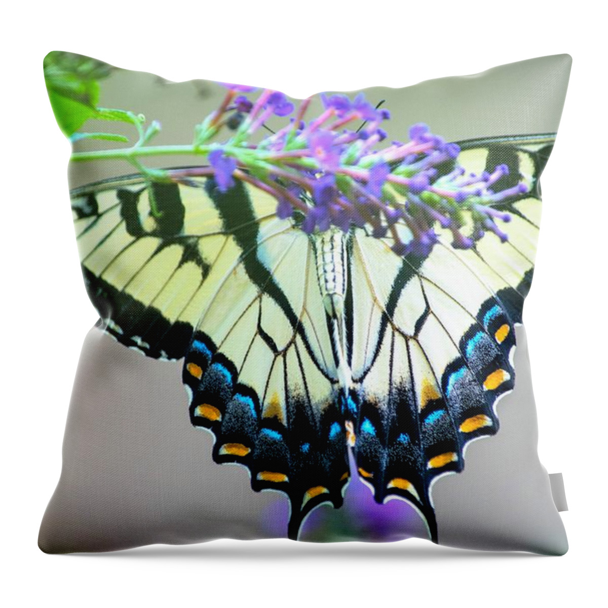 Eastern Tiger Swallowtail Butterfly Throw Pillow featuring the photograph Swallowtail on Butterfly Bush 2 by Mary Ann Artz