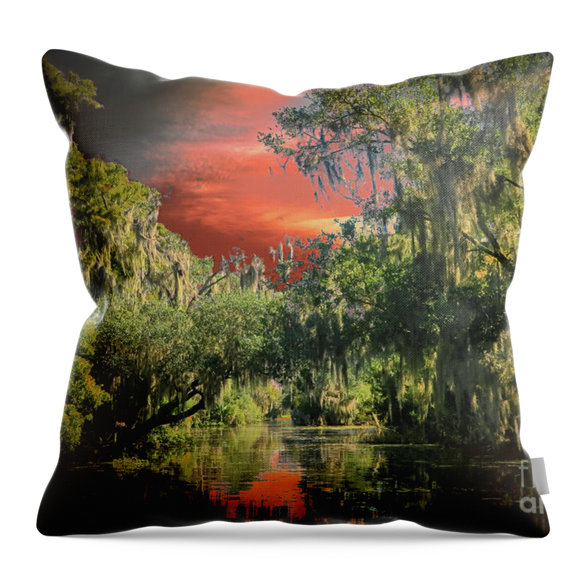 Louisiana Swamp Throw Pillow featuring the photograph Swamp 1 by Larry White