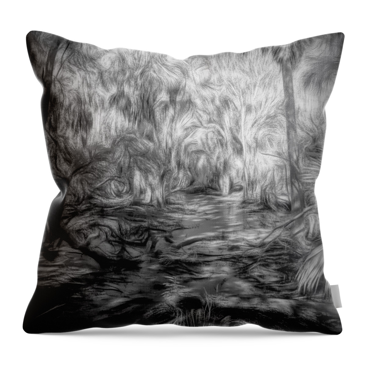 Swamp Throw Pillow featuring the photograph Swamp Dream by Jim Cook