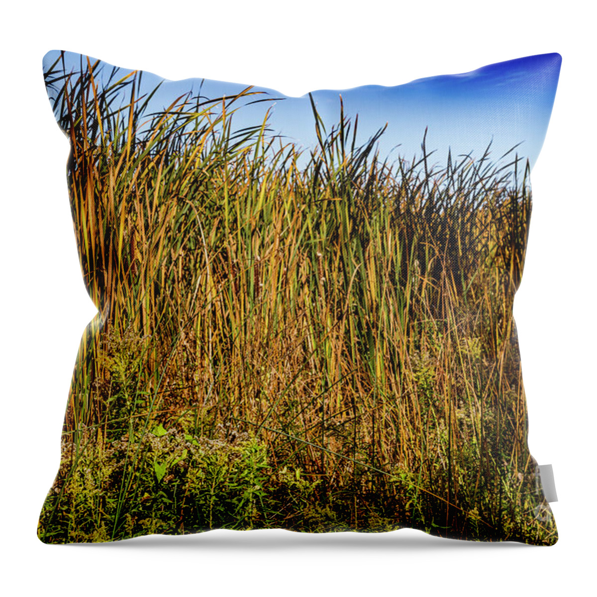 Grass Throw Pillow featuring the photograph Swamp Grass by William Norton