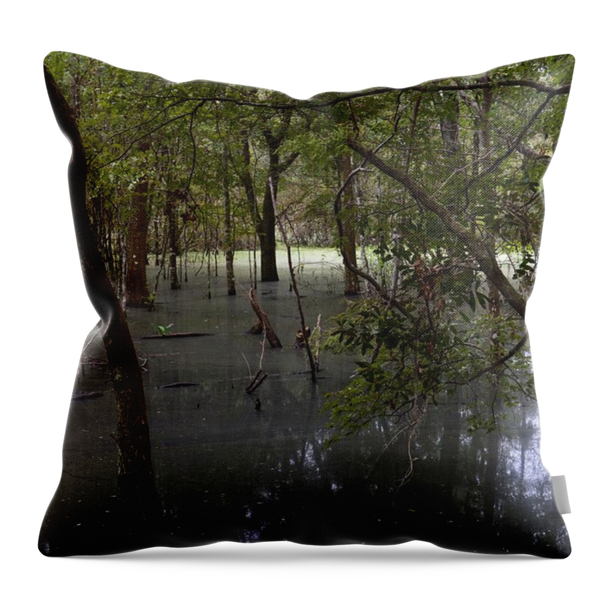 Swamp Haze Throw Pillow featuring the photograph Swamp Haze by Warren Thompson