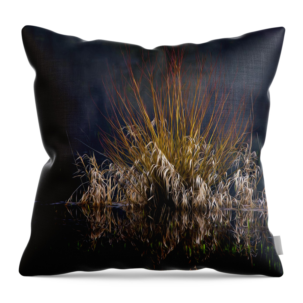 Grasses Throw Pillow featuring the photograph Swamp Thing by John Christopher