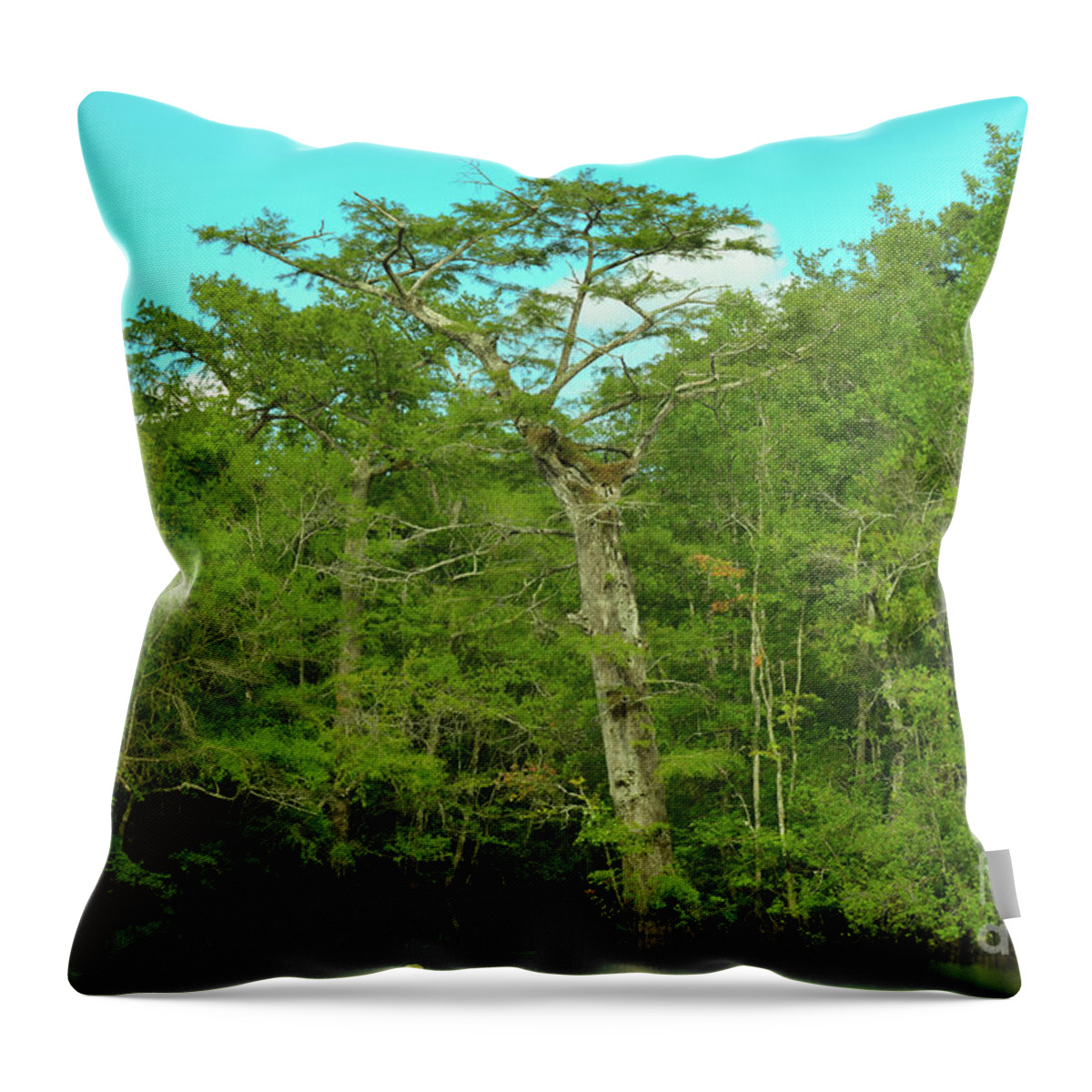 Tree Throw Pillow featuring the photograph Swamp Tree by Marc Watkins