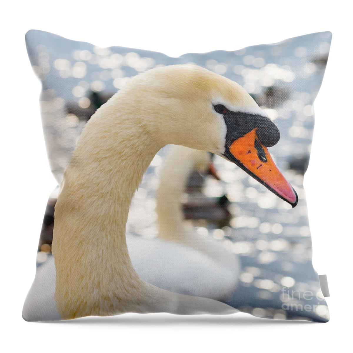 Swan Throw Pillow featuring the photograph Swan by Colin Rayner