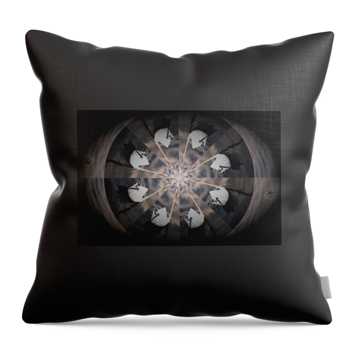 Birds Throw Pillow featuring the digital art Swan Eye by Ee Photography
