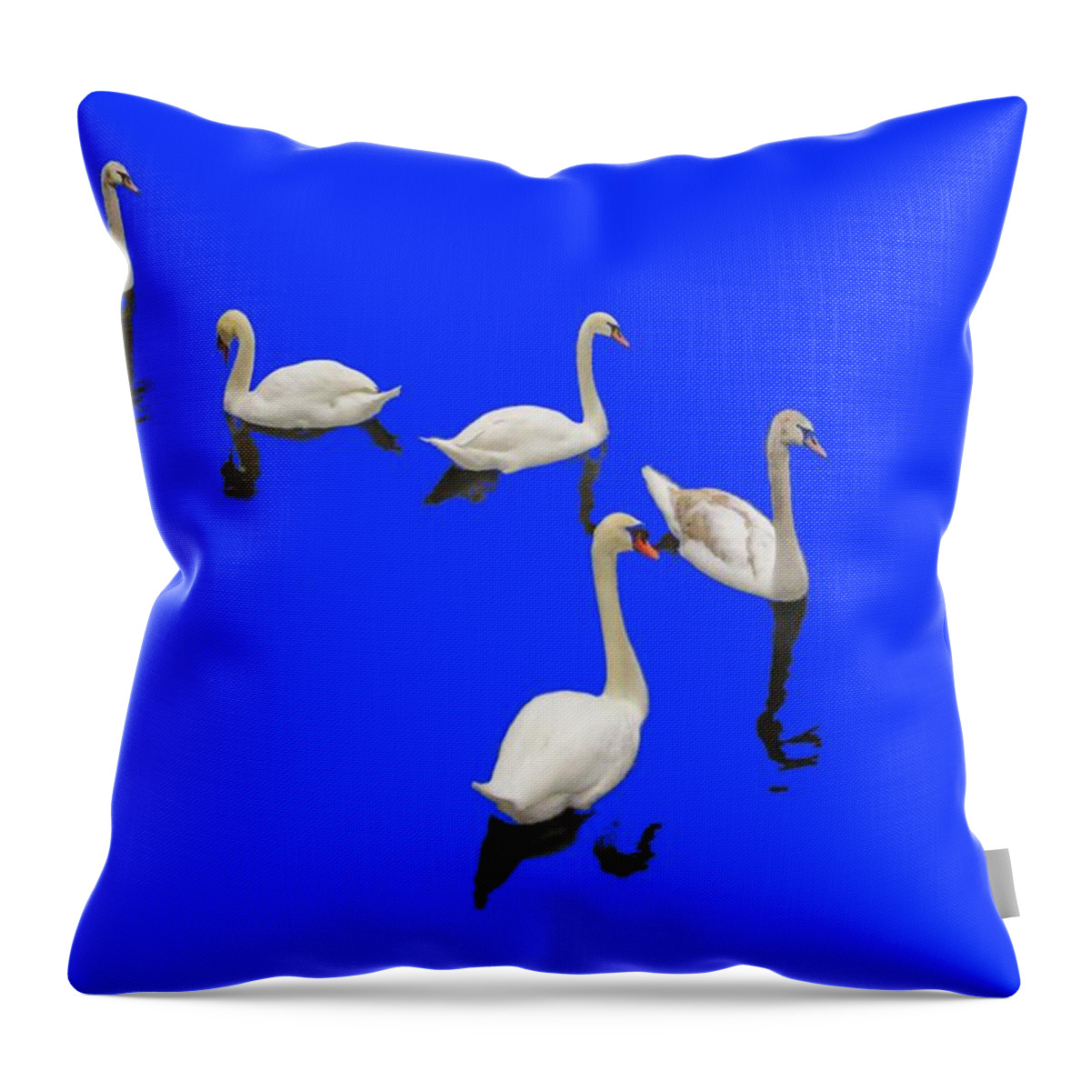 Background Blue Throw Pillow featuring the photograph Swan Family On Blue by Constantine Gregory