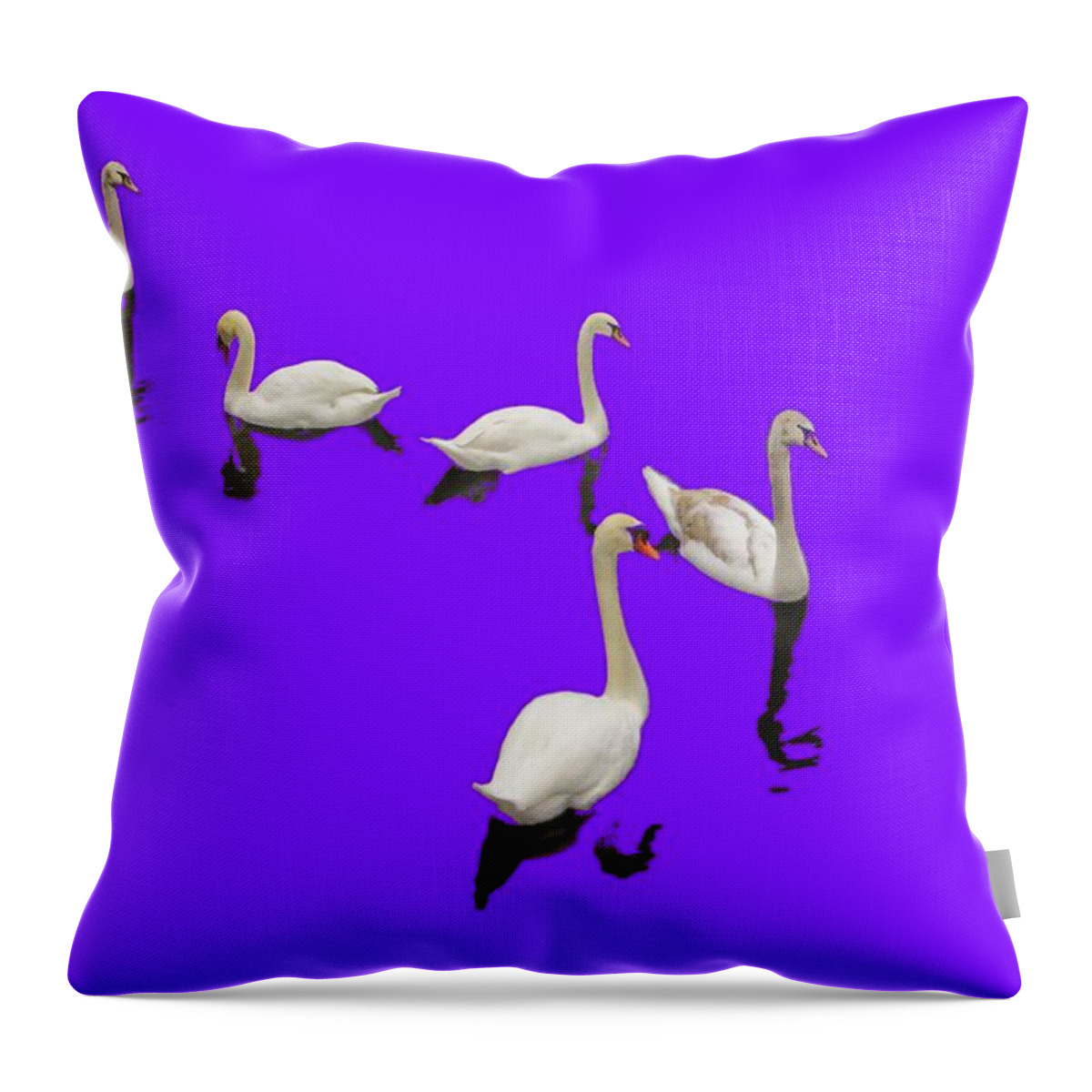 Background Purple Throw Pillow featuring the photograph Swan Family On Purple by Constantine Gregory