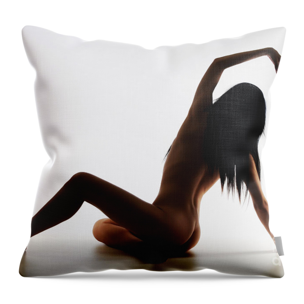Artistic Photographs Throw Pillow featuring the photograph Swan Lake by Robert WK Clark