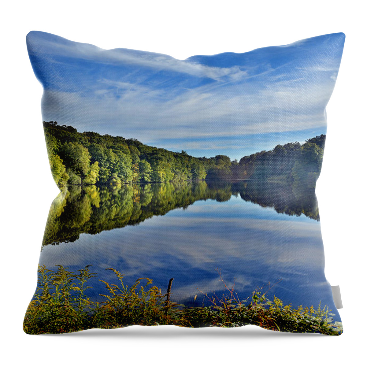 'swan Lake Throw Pillow featuring the photograph Swan Lake Times Two by Jeffrey Friedkin