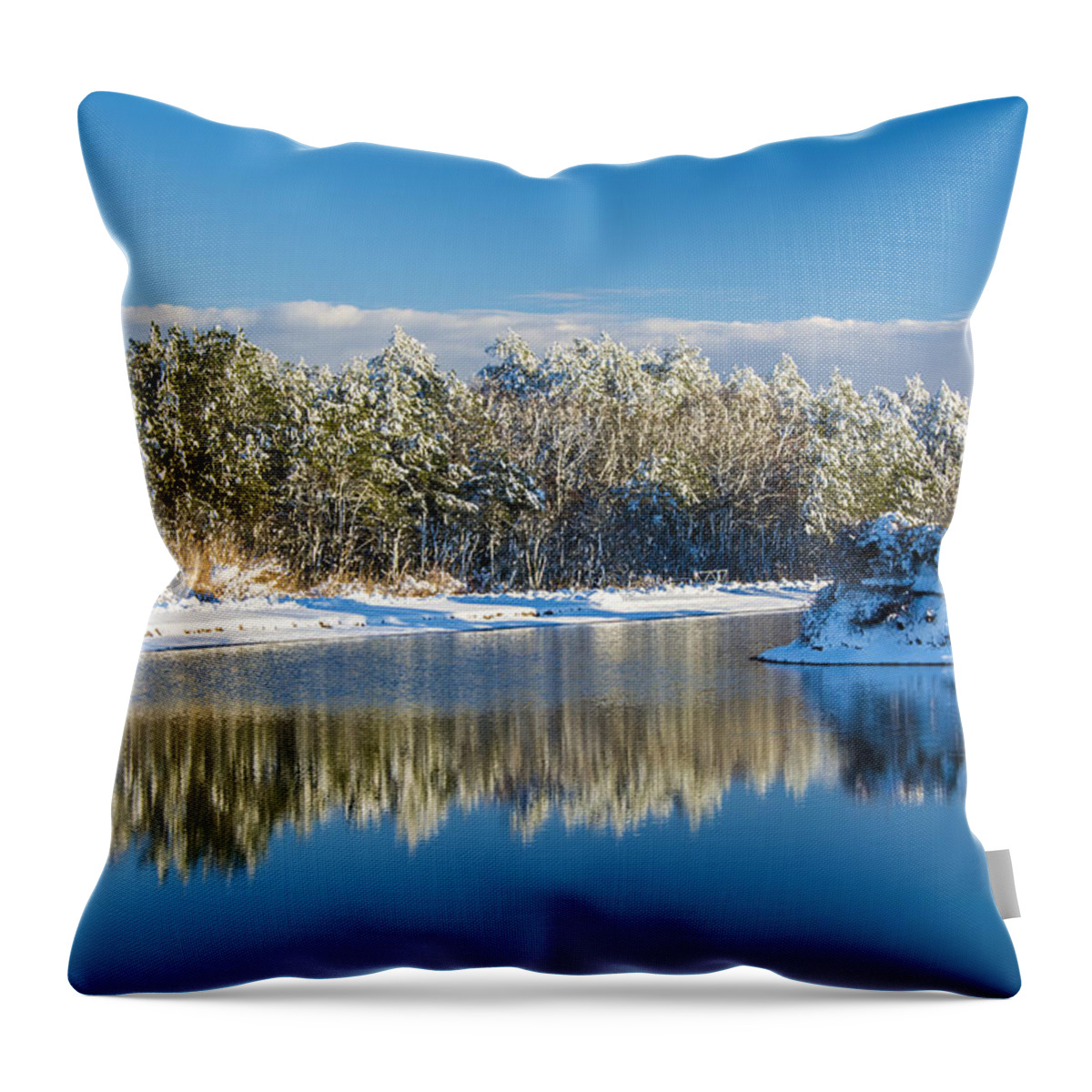 Pond Throw Pillow featuring the photograph Swan Lake Winter by Cathy Kovarik