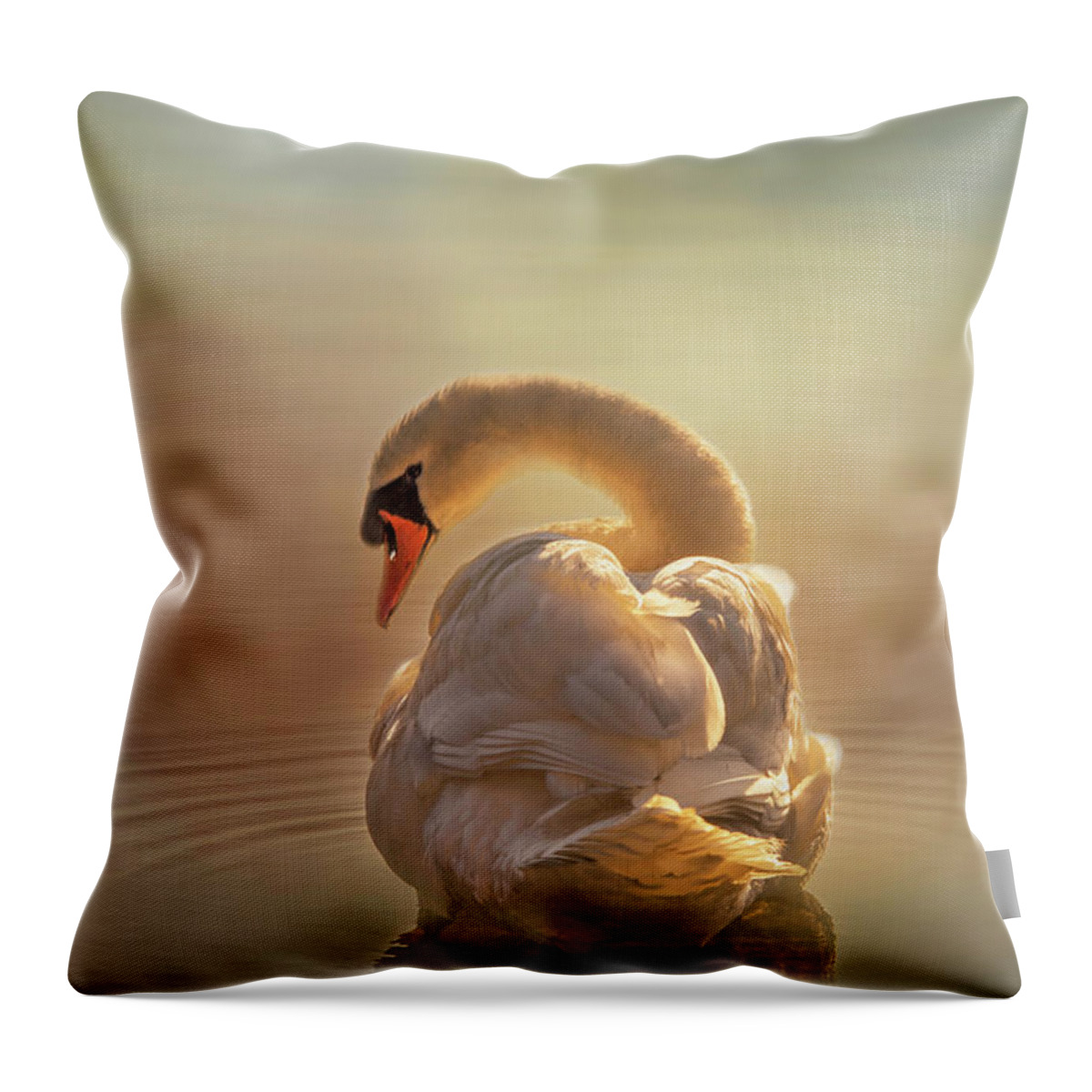 Swan Throw Pillow featuring the photograph Swan light by Mary Clough
