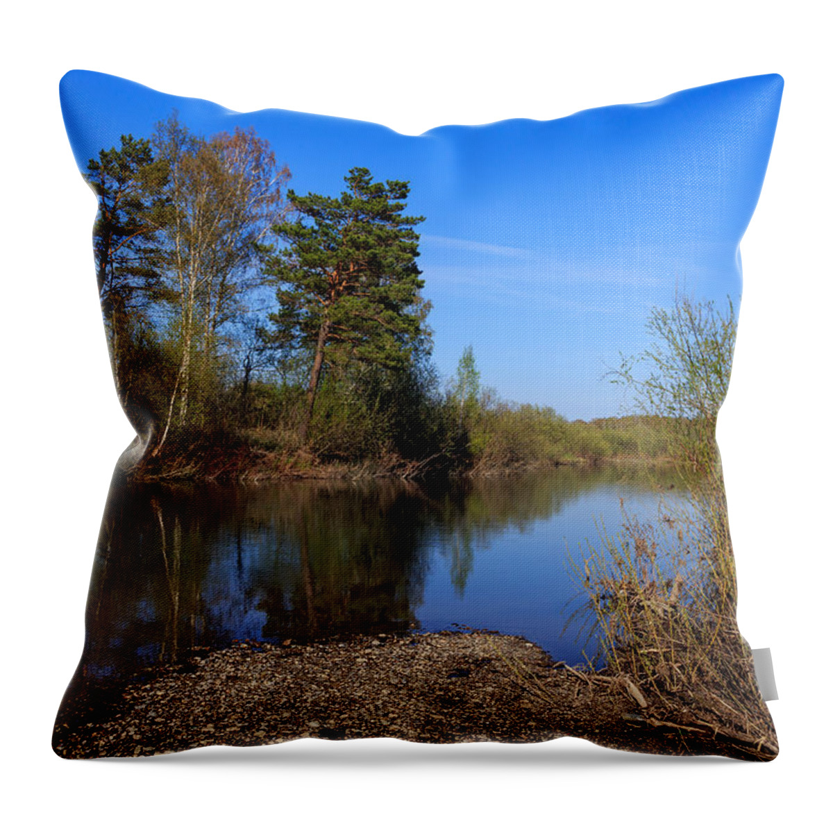 Landscape Throw Pillow featuring the photograph Swan River at Urga District by Victor Kovchin