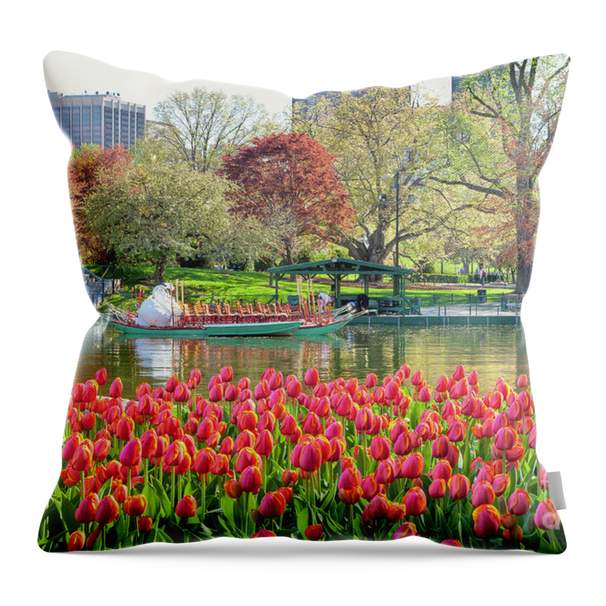 Back Bay Throw Pillow featuring the photograph Swans and Tulips 2 by Susan Cole Kelly