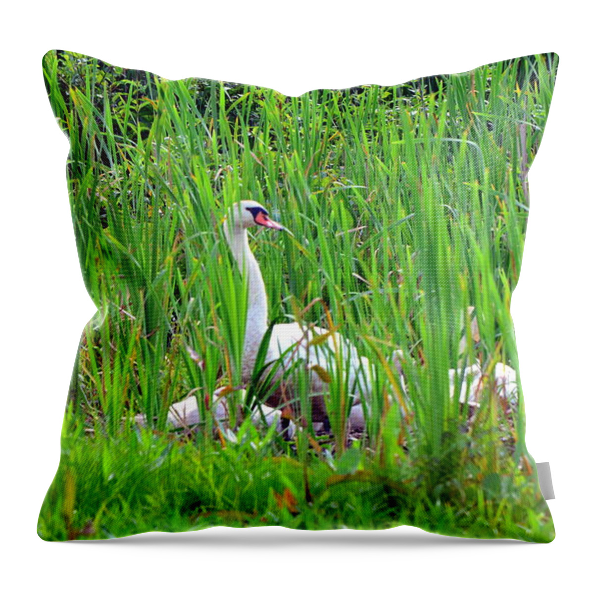 Swans' In Hiding Throw Pillow featuring the photograph Swans' In Hiding by Lisa Wooten