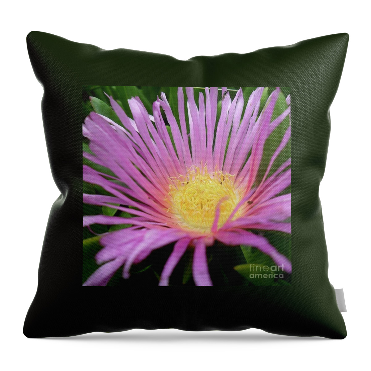 Flower Throw Pillow featuring the photograph Sweet and pretty by Julie Grimshaw
