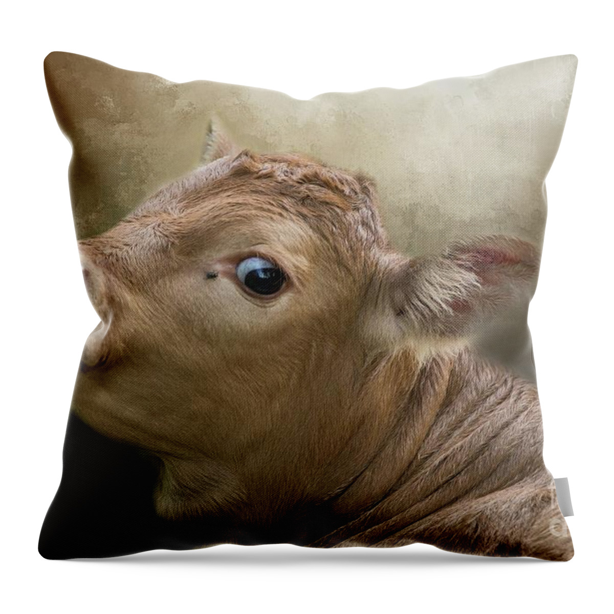 Baby Throw Pillow featuring the photograph Sweet Baby by Eva Lechner