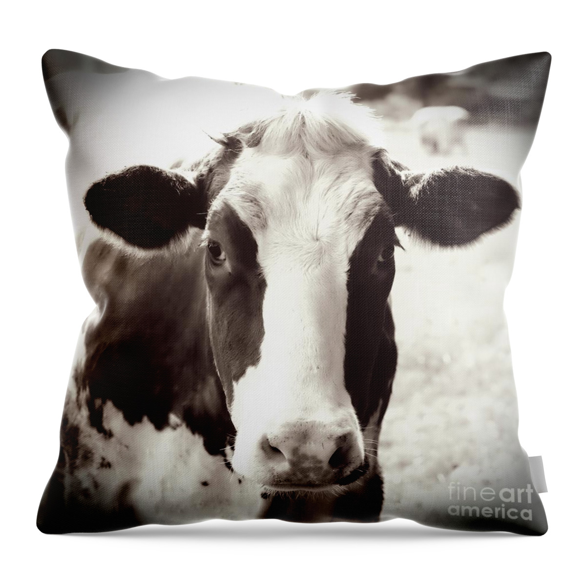 Cow Throw Pillow featuring the photograph Sweet Cow Face by Carol Groenen