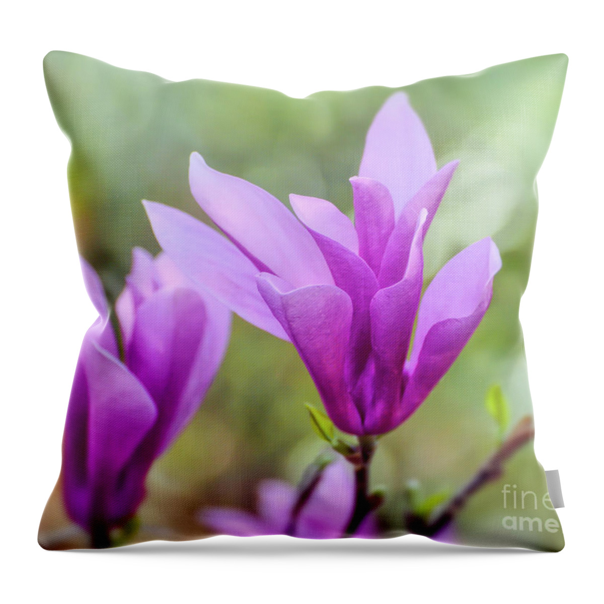 Magnolia Throw Pillow featuring the photograph Sweet Magnolia by Kerri Farley