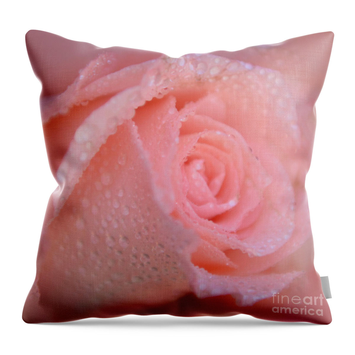 Pink Rose Throw Pillow featuring the photograph Sweet Memories in Pink by Olga Hamilton